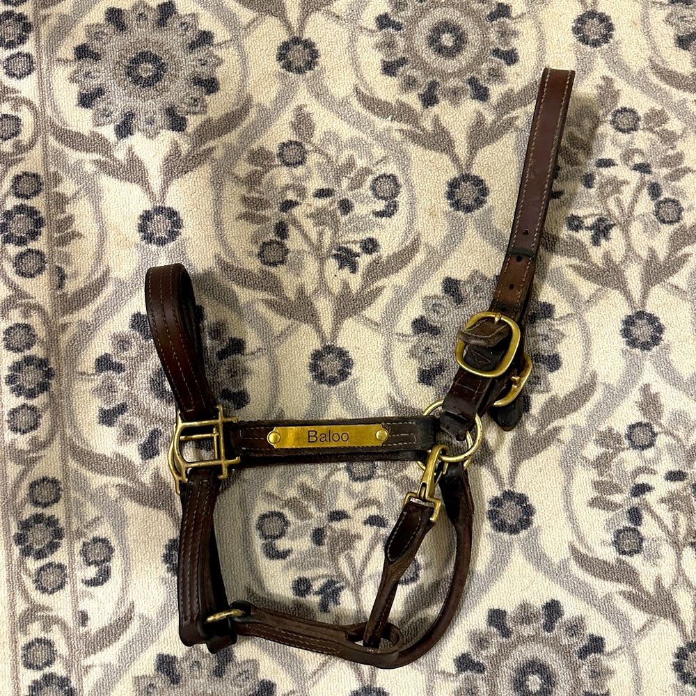 Horse size Kentucky leather halter